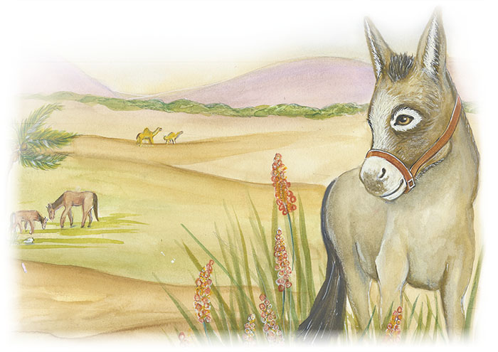 El burrito más feliz de la Historia